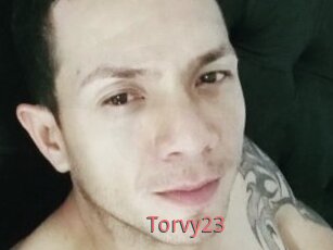 Torvy23