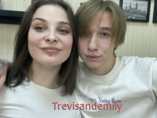 Trevisandemily