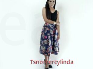 Tsnomercylinda