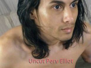 Uncut_Perv_Elliot