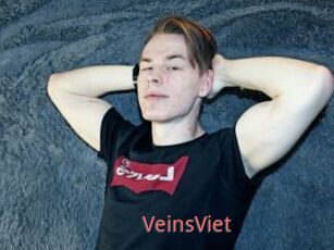 VeinsViet