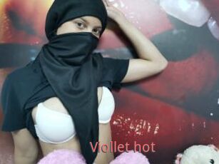 Viollet_hot