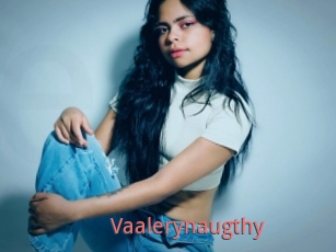 Vaalerynaugthy