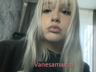 Vanesamarsh