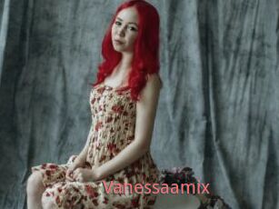 Vanessaamix