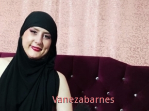 Vanezabarnes