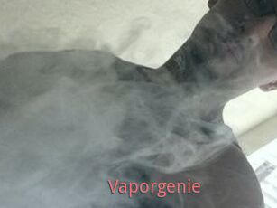 Vapor_genie