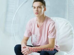 Viggomister