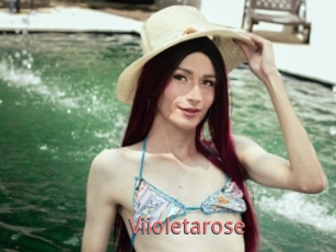 Viioletarose