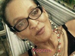 Vippussy