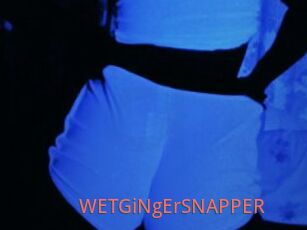 WETGiNgErSNAPPER