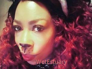 WetEstuary
