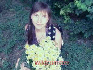 Wildcumster