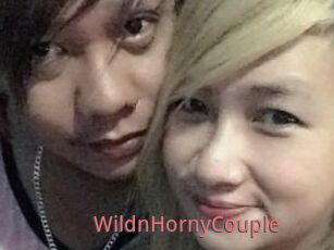 WildnHornyCouple