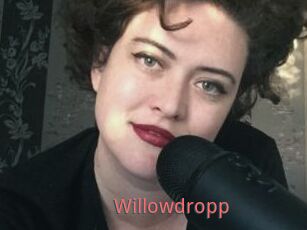 Willowdropp