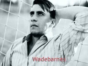 Wadebarnes