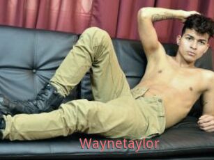 Waynetaylor