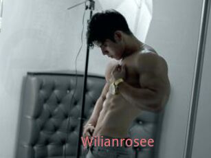 Wilianrosee