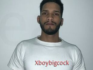 Xboybigcock