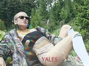 YALES