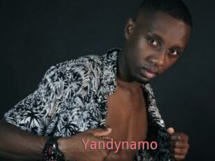 Yandynamo