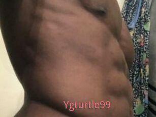 Ygturtle99