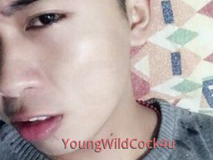 YoungWildCock4u