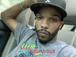 YourMrBull