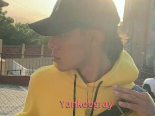 Yankeegray