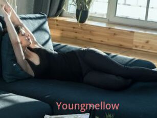 Youngmellow