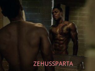 ZEHUS_SPARTA