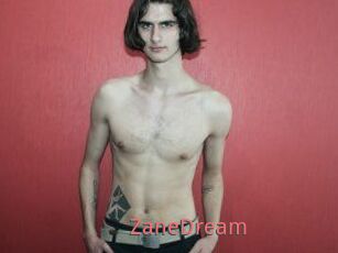 ZaneDream