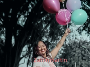 Zattinmartin