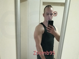 Zsomb95